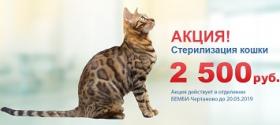 АКЦИЯ! Стерилизация кошки - 2500 рублей!