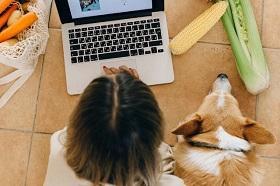 Особенности влияния рациона питания щенков на риск развития аллергии