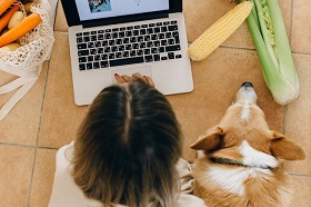 Особенности влияния рациона питания щенков на риск развития аллергии