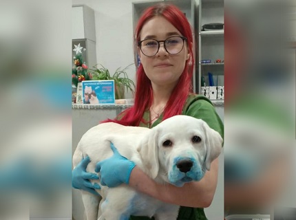 Сысоева Владлена Александровна